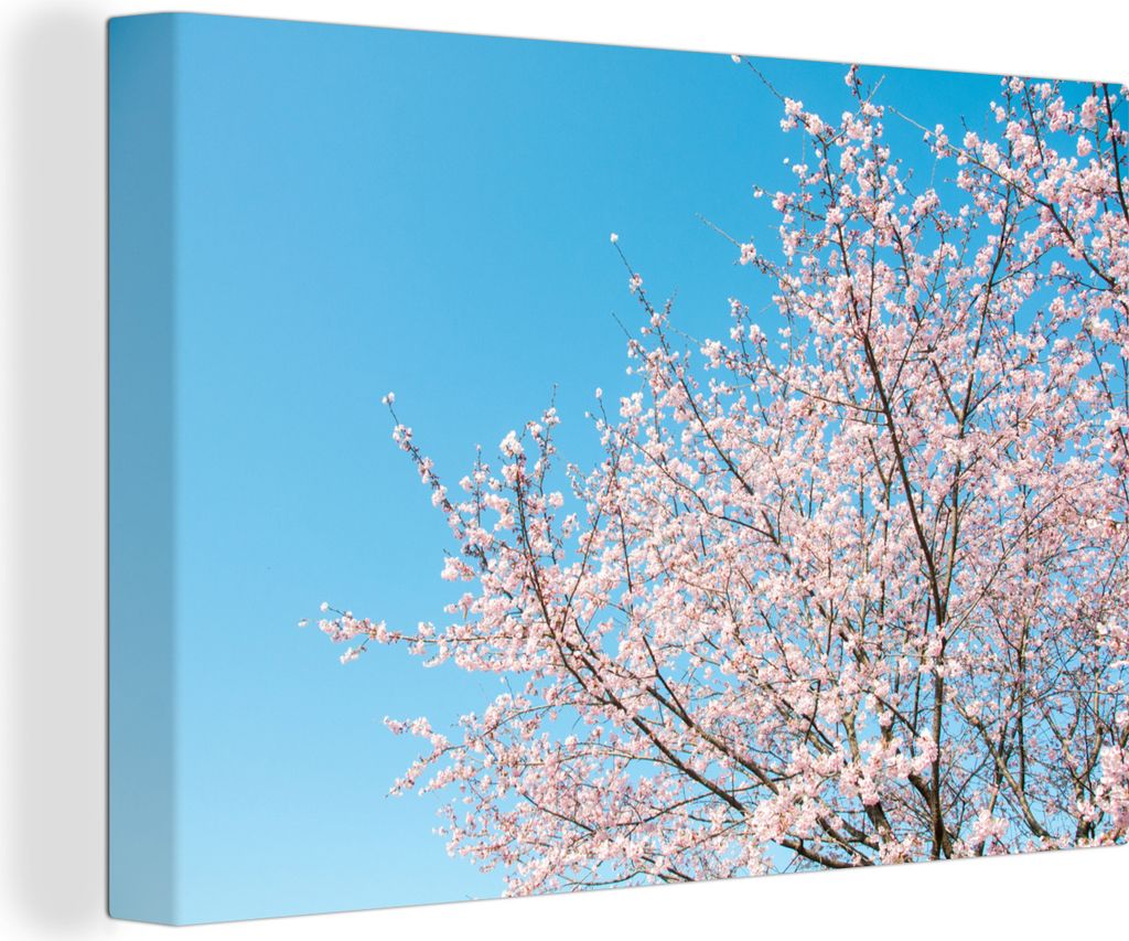 OneMillionCanvasses - Leinwandbilder - 140x90 cm, Kirschbaum - Japan - Blüte, Wandbilder Kunstdruck Wanddekoration - Foto auf Leinwand - Gemäld...