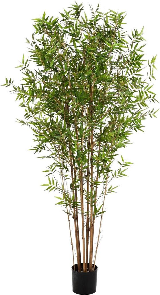 aplanta Künstlicher Bambus - Lucas | 210 cm, Echtholzstamm, für drinnen, Kunstbaum, wie echt, Allergiker geeignet, pflanzliche Dekoration Praxis,...