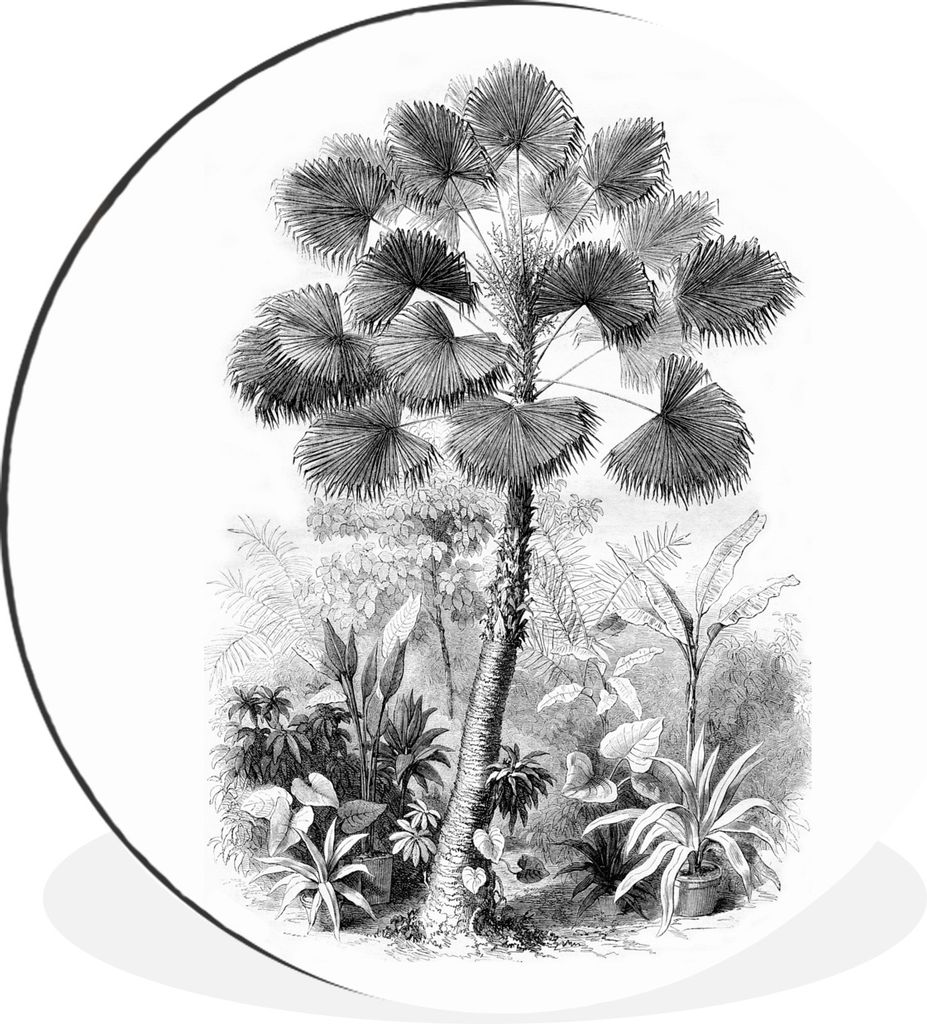 MuchoWow Aluminium Wandkreis Design - Natur - Baum Ø 30 cm Wanddeko Modern Wohnzimmer - Wand Bild - Wohnzimmer - Runde Bilder - Alubilder - Kuns...