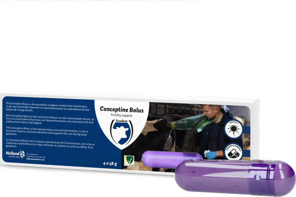 Chiave A Pinza Per Filtro Olio Auto – Regolabile Da 2,8 A 5,9 Pollici (7-15 Cm), Con Maniglia TPR Antiscivolo