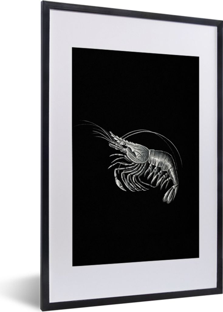 MuchoWow Gerahmtes Poster Shrimps - Vintage - Ernst Haeckel - Tiere - Kunst 40x60 cm - Poster mit Schwarzem Bilderrahmen Wandposter Rahmen Foto B...