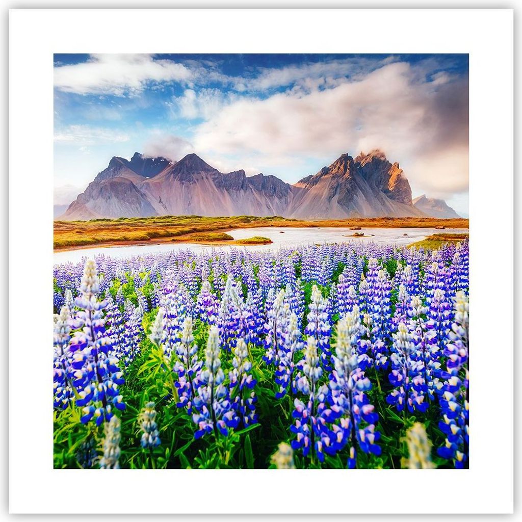 Poster - Poster ohne Rahmen - Berge Wiese Blumen - 40x40 cm - Wand Bild - Wanddeko - Wandbilder - Kunstposter - Wandposter - Bilder - Kunstdruck - ...