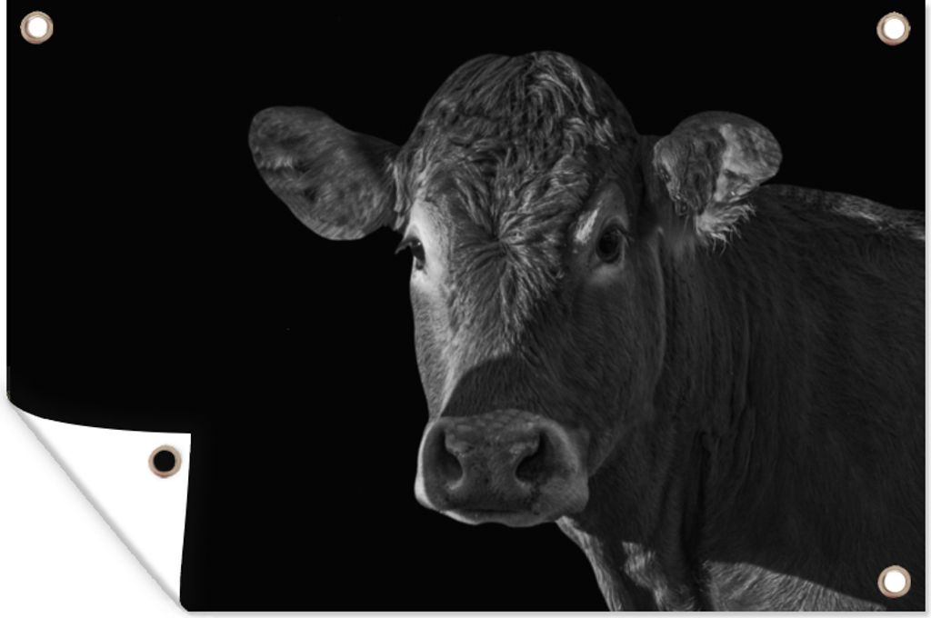 MuchoWow 60x40 cm Outdoor-Poster Gartendeko Sichtschutz Garten Poster für den Garten Kuh - Tiere - Schwarz - Weiß - Porträt
