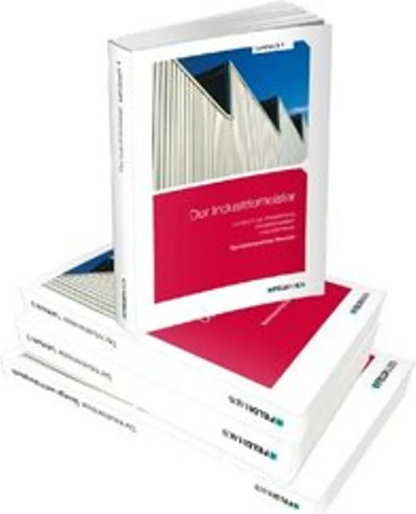 Pack Der Industriemeister Gesamtausgabe 4 Bände : Finissez vos Révisions