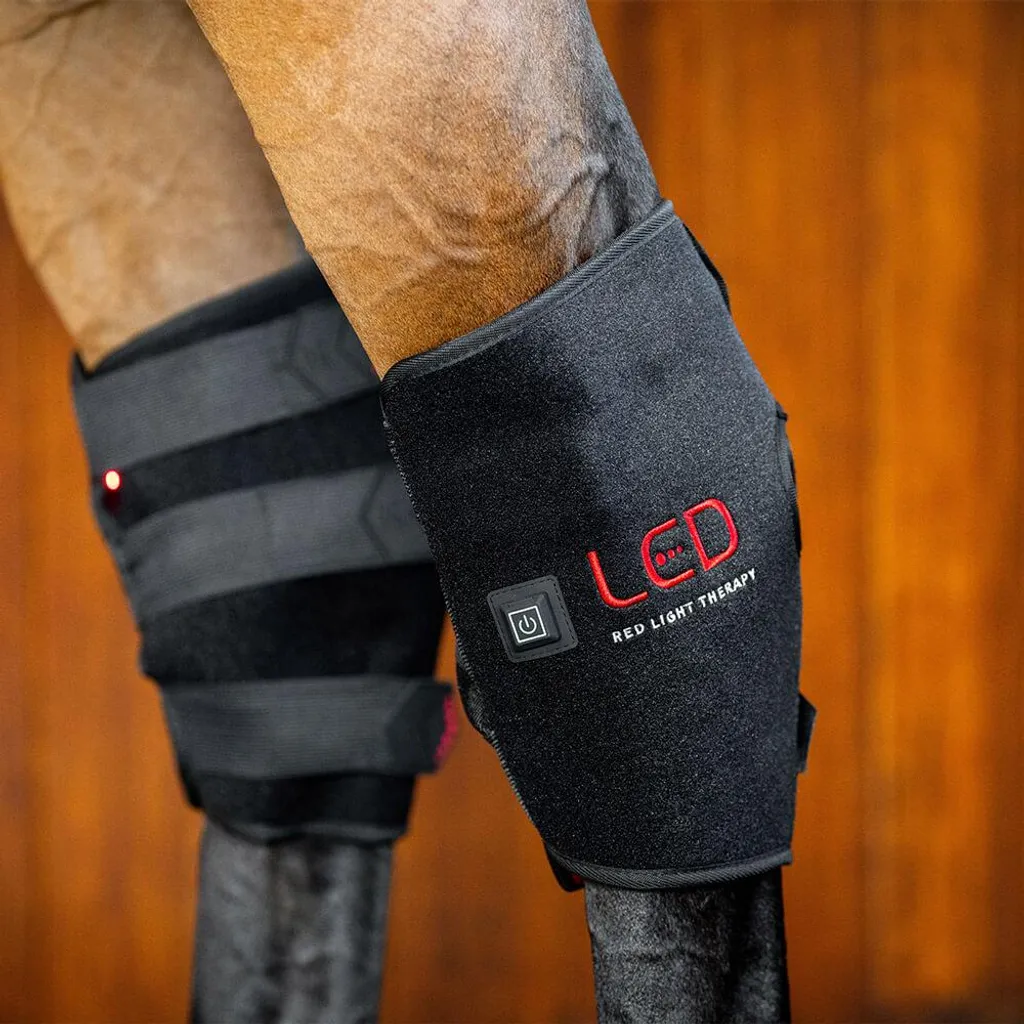 Protection de Récupération LED pour le Jarret du Cheval Horseware Gauche