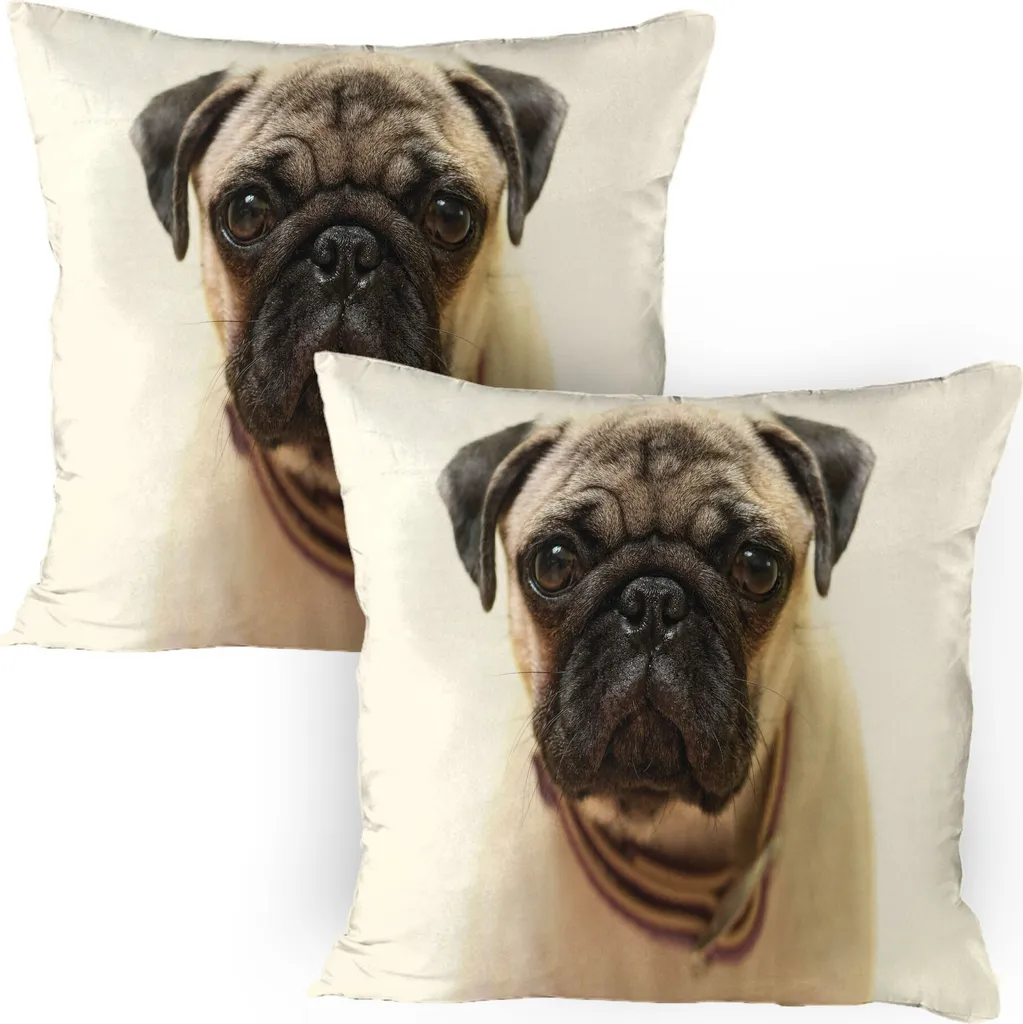 Federe Cuscino Carlino 80x80 ABAKUHAUS - Coppia Copricuscini Pug