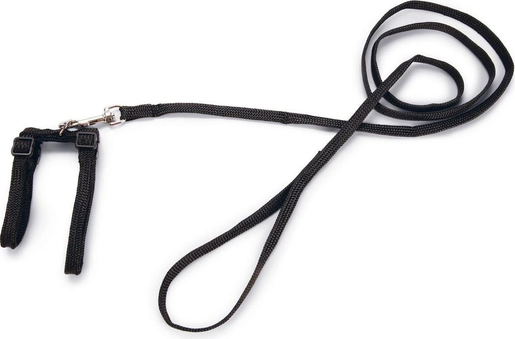 Beeztees - Katzengeschirr - Nylon - schwarz - 130 cm x 10 Produktbild 