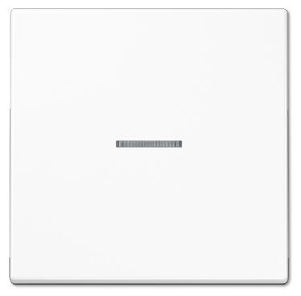 JG LS-design Klappdeckel für LS990KLWW Steckdose alpinweiß Produktbild 