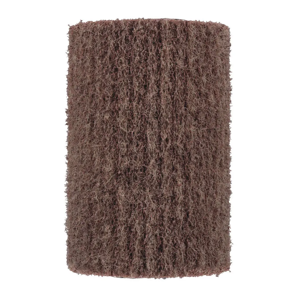 Brosse à récurer RYOBI RAC825 : éliminez mousse et saleté incrustée