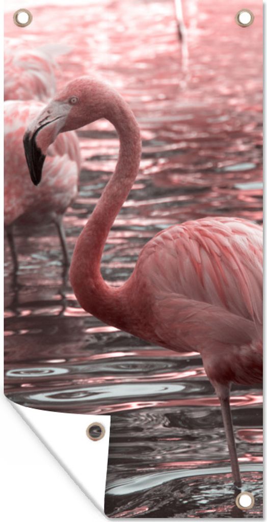 MuchoWow 40x80 cm Outdoor-Poster Gartendeko Sichtschutz Garten Poster für den Garten Eine Gruppe von Flamingos steht im Wasser