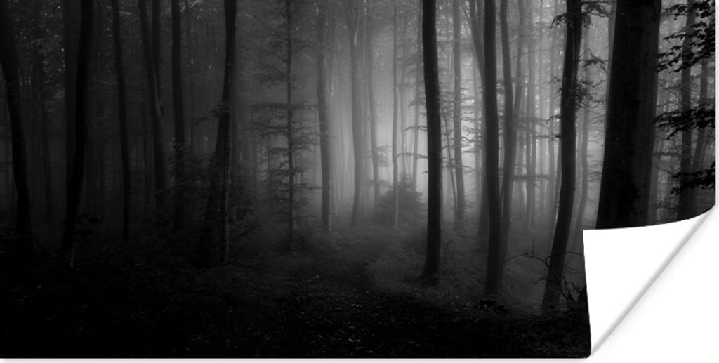MuchoWow Poster Grüner Waldweg - schwarz und weiß 120x60 cm - Bild