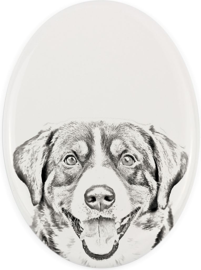 Entlebucher Sennenhund - Gedenktafel mit einem Foto eines Hundes, Grabplatte mit Druck, personalisierte ovale Platte der Marke Art-Dog