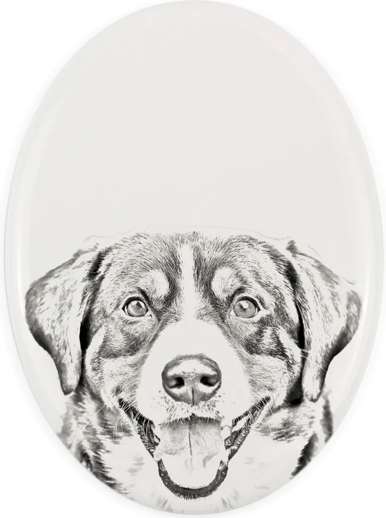 Art-Dog Targa Commemorativa Bovaro dell'Entlebuch | Ceramica Ovale - 1