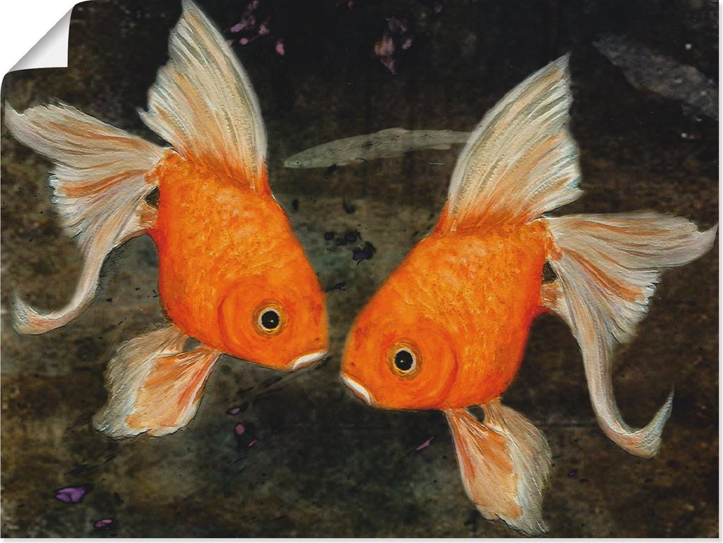 ARTland Poster Turtelfische Größe: 40x30 cm