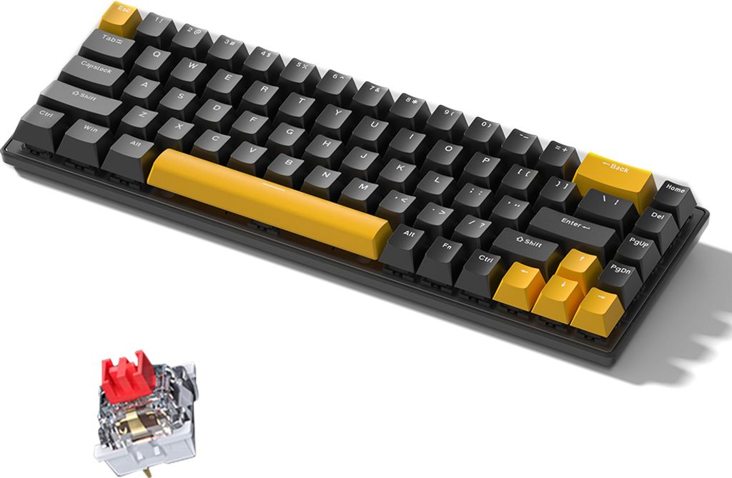Mechanische Tastatur mit 68 Tasten 68 Tasten-Layout FN-Tastenkombination Vollstaendiges Anti-Ghosting Bunte Hintergrundbeleuchtung Mehrere 10 Beleu...