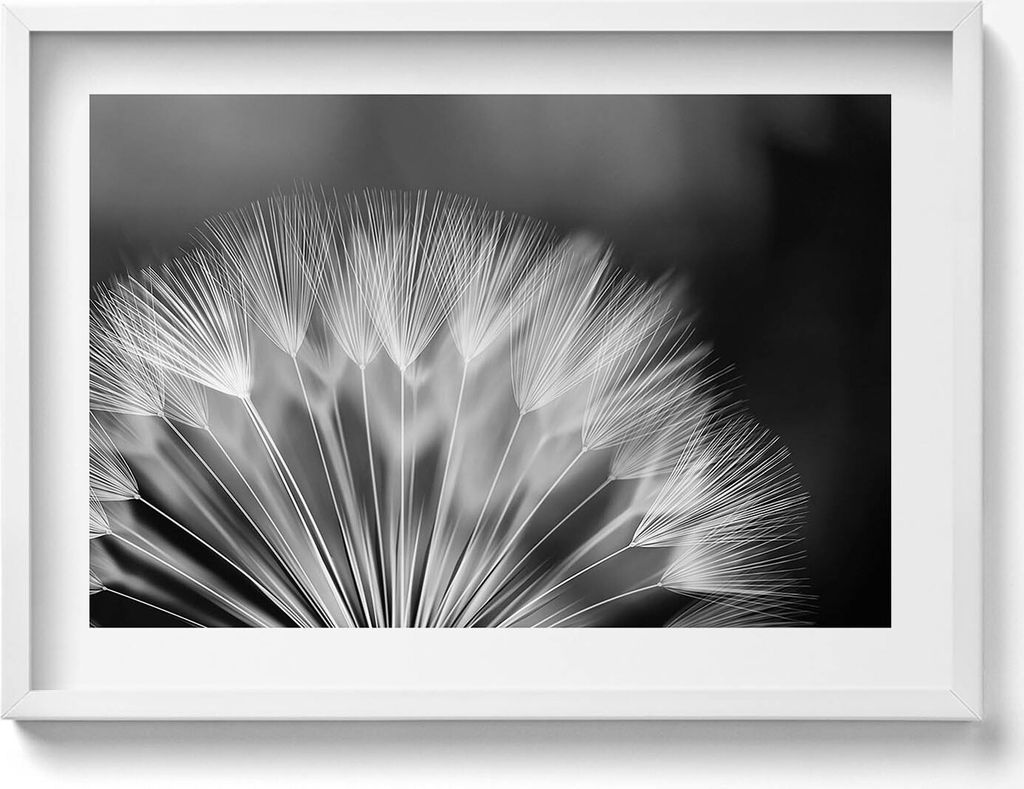 Schwarz-weiße Nahaufnahme einer Schmeißfliege– Wandbild mit Rahmen – Gerahmtes Bild – Wanddekoration – 70x50 cm – Schwarz Rahmen
