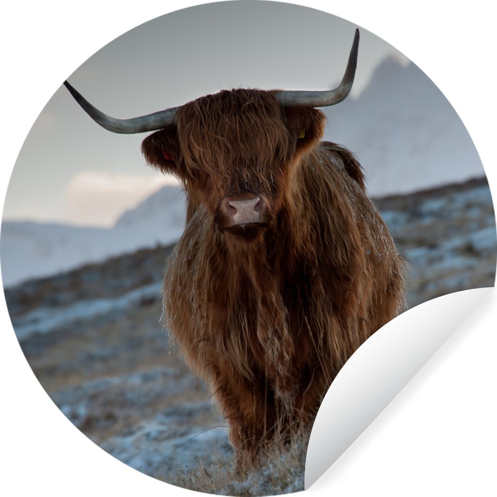 MuchoWow Runde Wandtattoo - Wandsticker Tapete Aufkleber Schottischer Hochländer - Landschaft - Schottland Ø 100 cm Selbstklebend und Repositio...