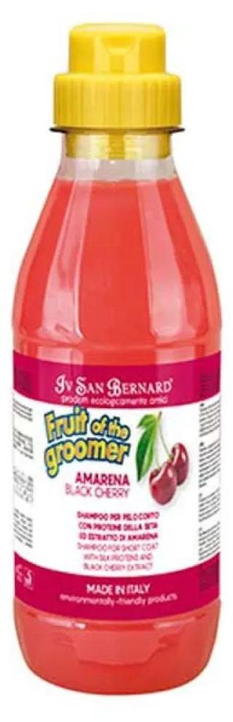 Iv San Bernard Fruits Amarena Shampoo 500ml Durchsichtig Durchsichtig One Size