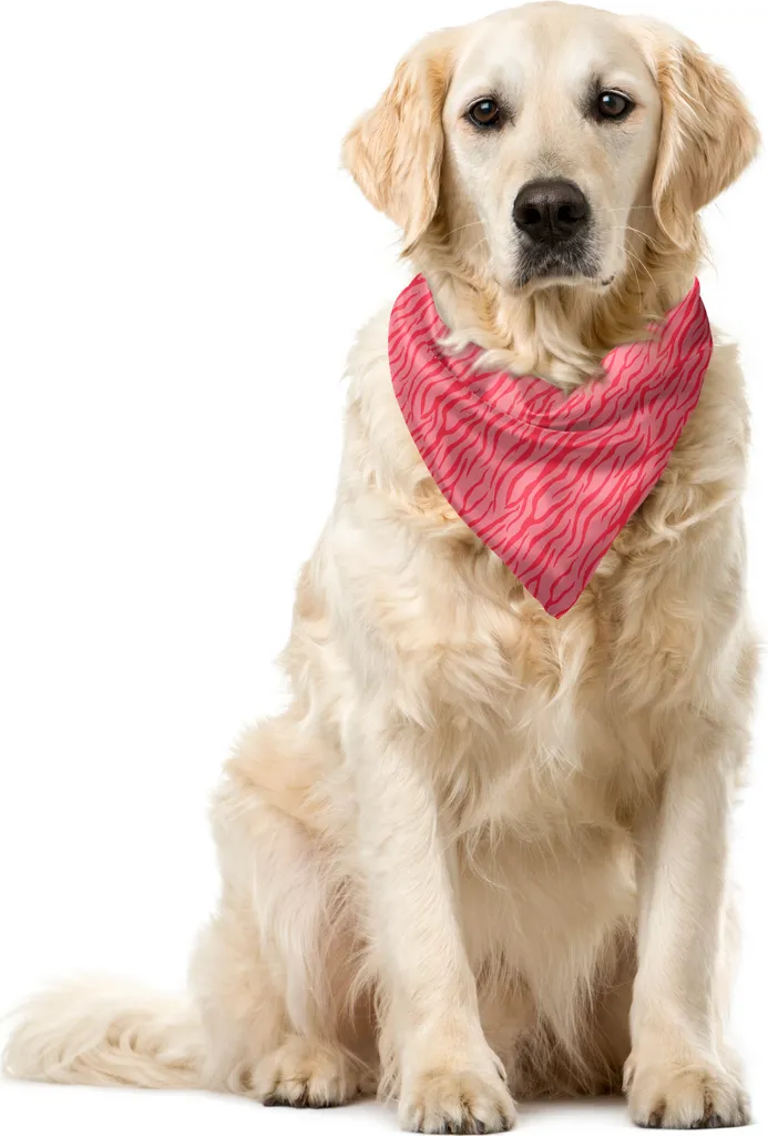 Foulard Pet ABAKUHAUS Strisce Safari 55x55cm | Rosa e Corallo Intenso