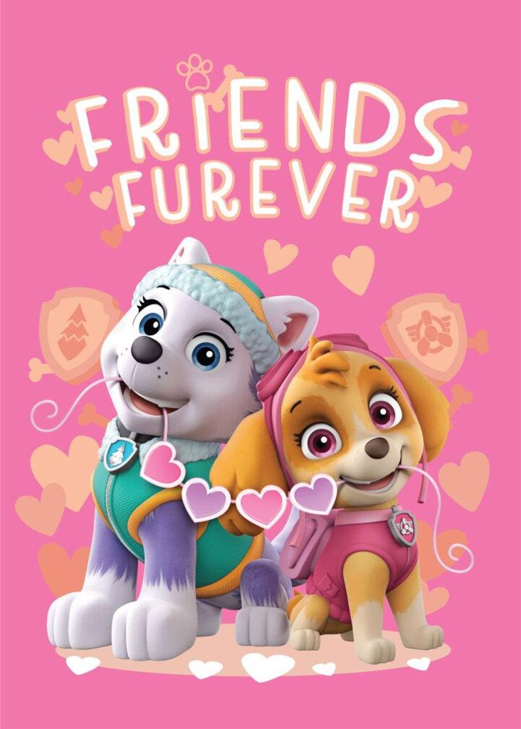 Coperta per bambini Paw Patrol Skye e Everest Immagine del prodotto 