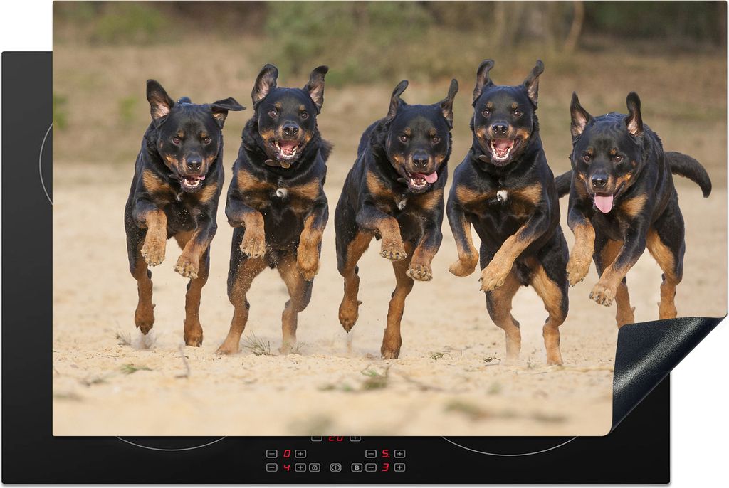 KitchenYeah Herdabdeckplatte In einer Reihe laufende Rottweiler , 80x52cm, Küche Deko, Glaskeramikkochfeld Herdabdeckung, Abdeckplatte fùr Koch...