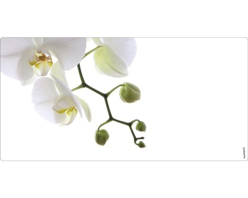 Badrückwand mySPOTTI aqua Orchidee phala 90x45 cm