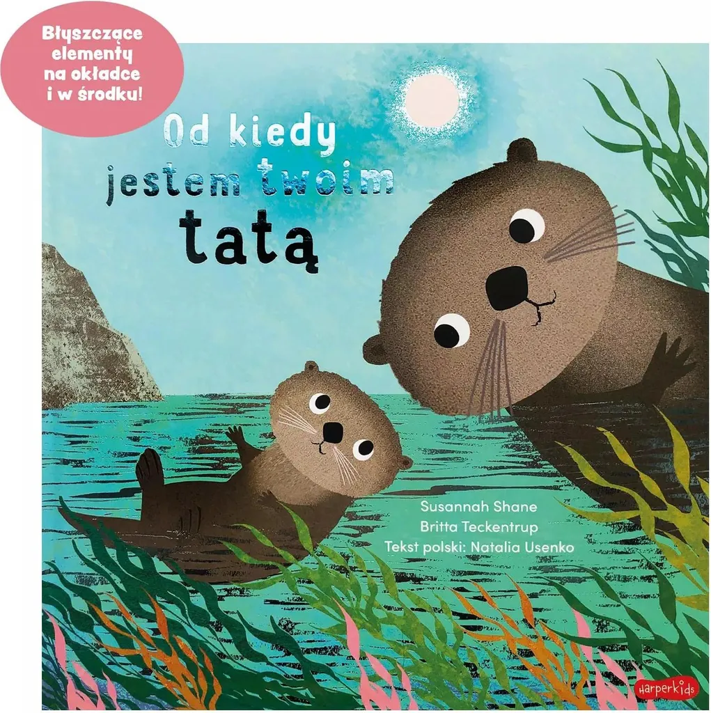 Livre de naissance pour papa Depuis que je suis ton père album photo