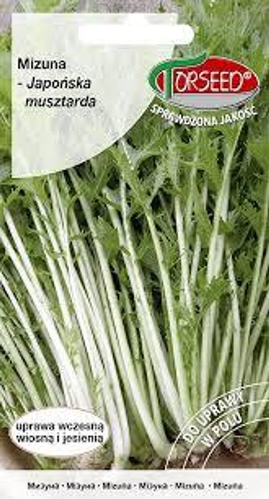 Mizuna Grünkern 2g - Torseed Produktbild 