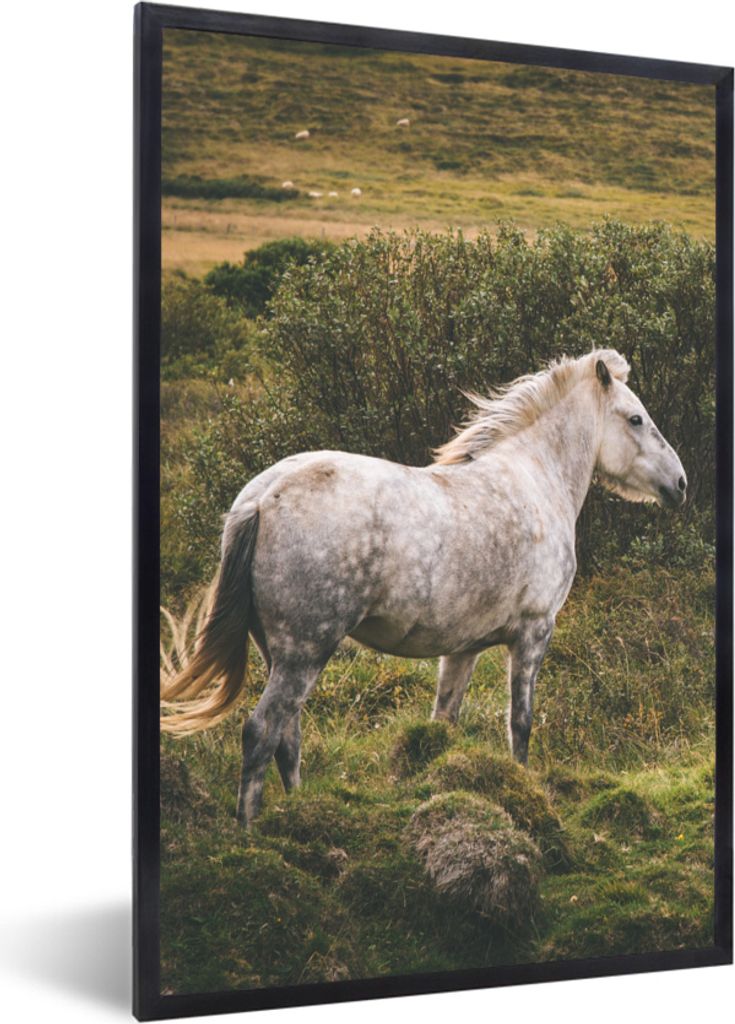 MuchoWow MuchoWow Gerahmtes Poster Pferd - Gras - Weiß 20x30 cm - Poster mit zchwarzem Bilderrahmen - Drucken - Bilder Poster im Rahmen