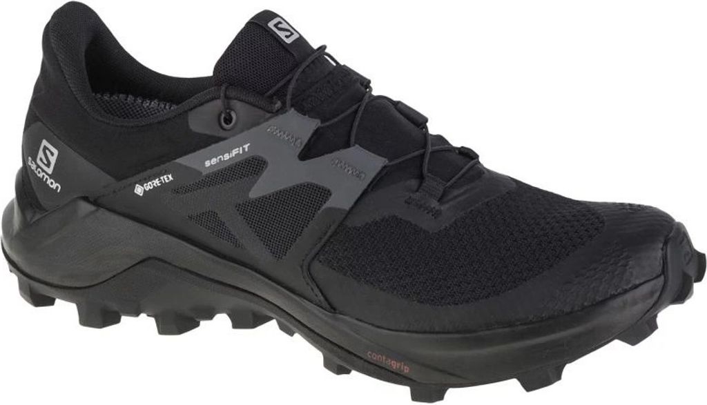Schuhe Salomon Wildcross 2 Gtx 414554