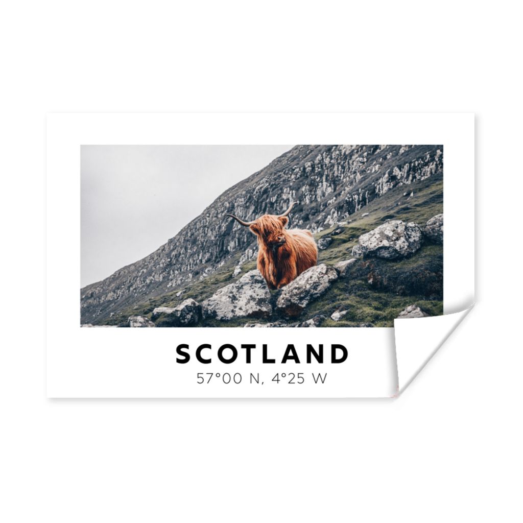 MuchoWow Poster Schottland - Schottische Highlander - Berge - Tiere 30x20 cm - Plakate - Print