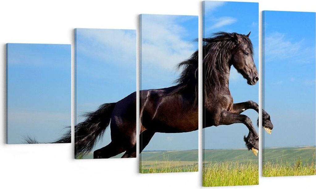 Bild auf Leinwand - Leinwandbild - Schwarzes Pferd Pferd Produktbild 