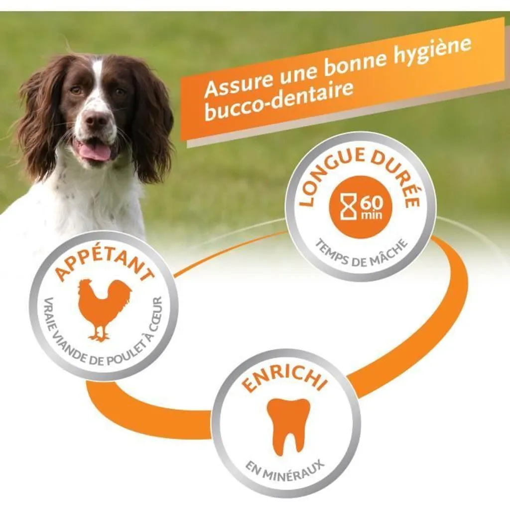 Delizie da Masticare XS 21 Pezzi - Snack Igiene Dentale Cani Piccoli - 5