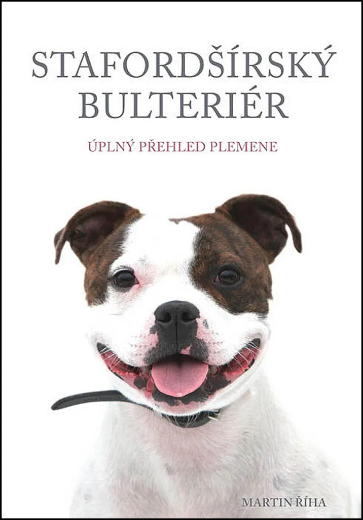 Maîtriser le Comportement du Staffordshire Bull Terrier au Quotidien