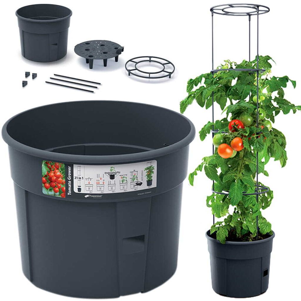 A product shot of a tomato growing system, including the planter, accessories, and a mature tomato plant with fruit.