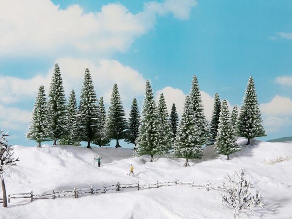 Schneetannen 8 Stück, 10 - 14 Cm Hoch