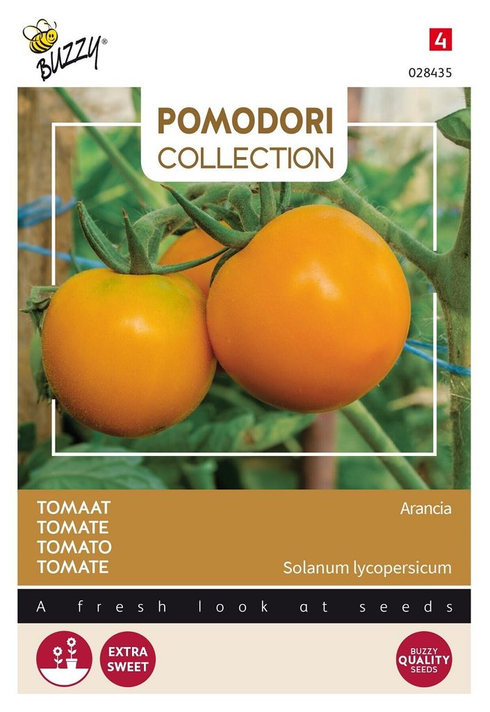 Buzzy Pomodori Tomate Arancia Samen - Ca. 1,5 gr | Buzzy_028435