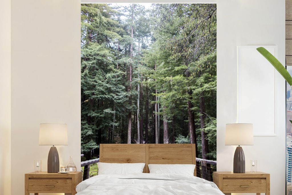 MuchoWow Fototapete für Wohnzimmer oder Schlafzimmer Wandtapete Vinyl Motivtapete Spaziergang durch die Bäume im Wald von Big Sur in den Verein...