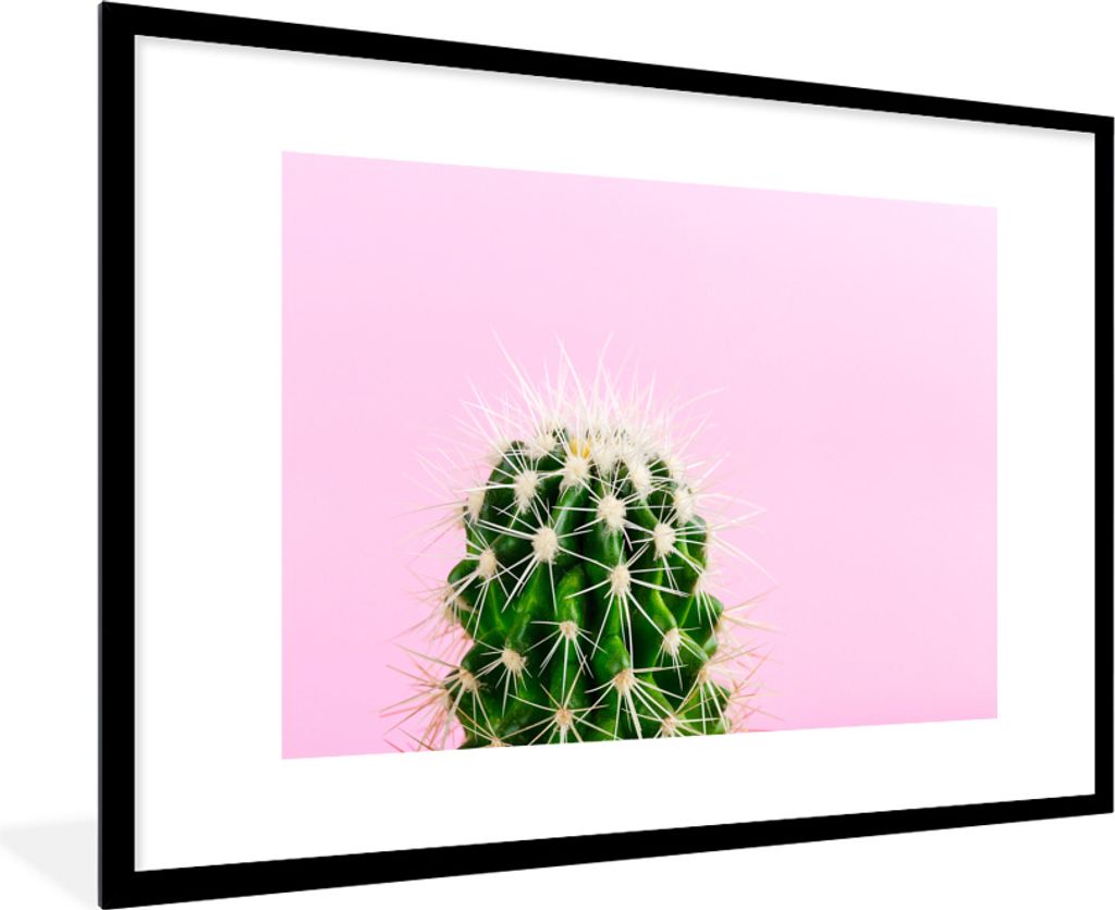 MuchoWow MuchoWow Gerahmtes Poster Kaktus auf Rosa 90x60 cm - Poster mit zchwarzem Bilderrahmen - Wanddekoration - Fotos