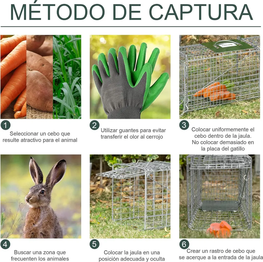 Piège à Renard et Chat Errant : Cage de Capture pour Jardin et Verger - 4