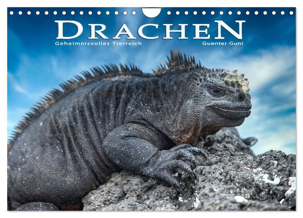 Drachen: Geheimnisvolles Tierreich (Wandkalender 2027 DIN A4 quer), CALVENDO Monatskalender