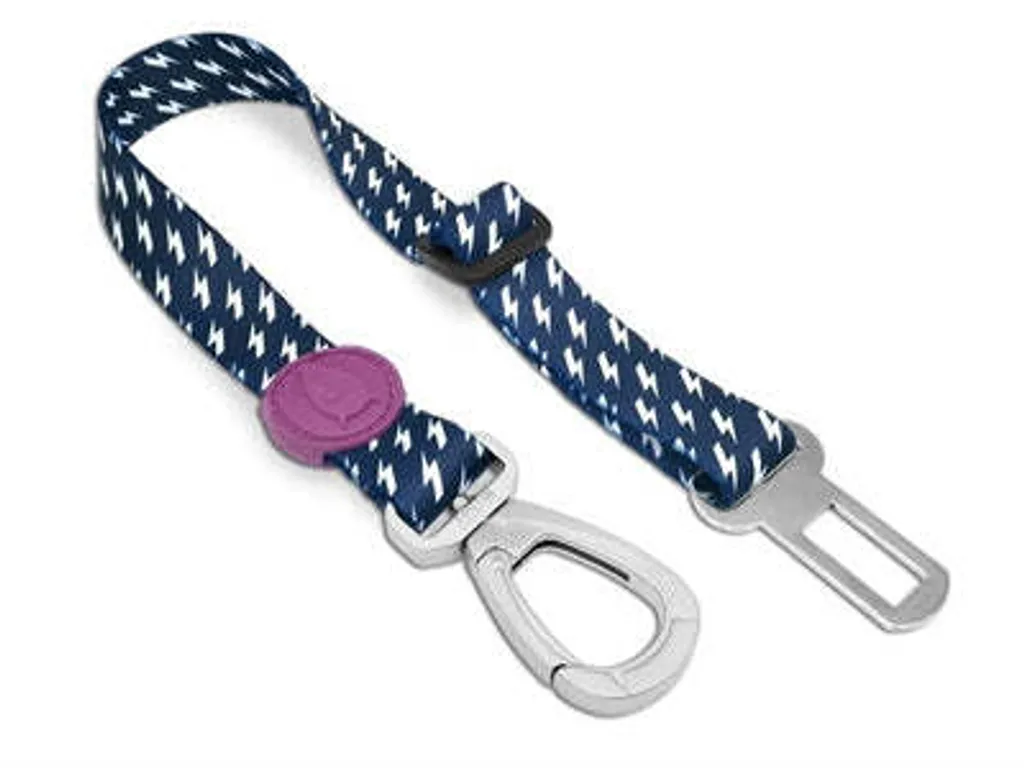 Ceinture Morso Dogs Schable noir contre les tractions et l'usure