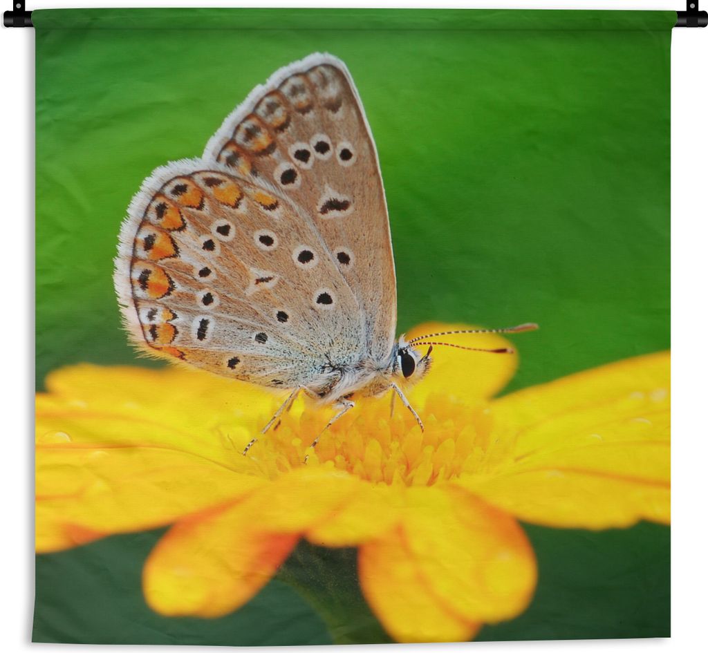 MuchoWow Wandteppich Wandbehang Blumen - Schmetterling - Natur 90x90 cm Tapisserie Dekoration Wandtuch - Wandaufhänger