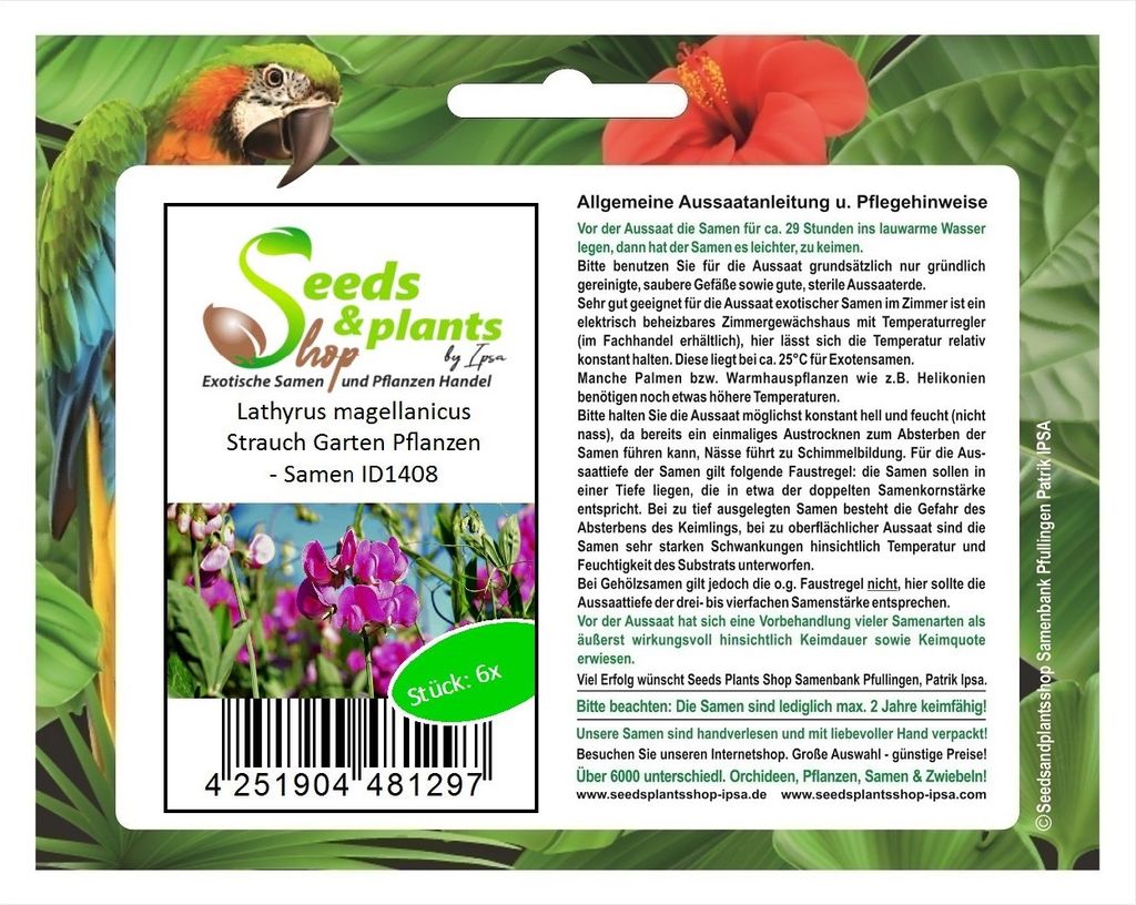 6x Lathyrus magellanicus Strauch Garten Pflanzen - Samen ID1408