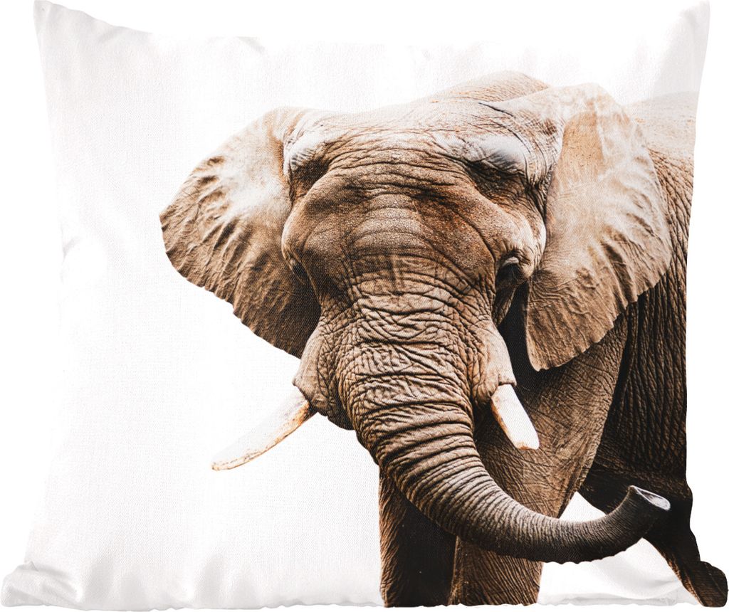 MuchoWow Zierkissen Sofakissen Wohnzimmer Dekokissen 40x40 cm Elefant - Tiere - Weiß - Foto Kissen - Schlafzimmer Dekoration