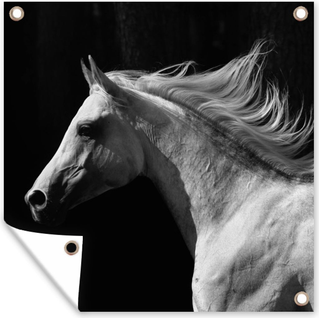 MuchoWow 100x100 cm Outdoor-Poster Gartendeko Sichtschutz Garten Poster für den Garten Pferde - Tiere - Porträt