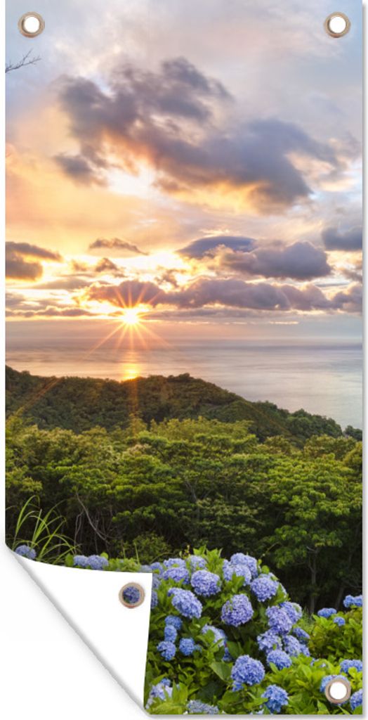 MuchoWow 40x80 cm Outdoor-Poster Gartendeko Sichtschutz Garten Poster für den Garten Sonnenuntergang mit Hortensien