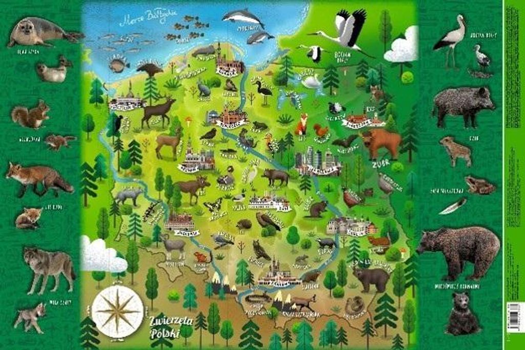 Podkładka mapa Polski zwierzątka. Mappuzzle JUNIOR