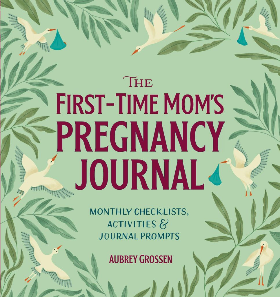 The First-Time Mom's Pregnancy Journal