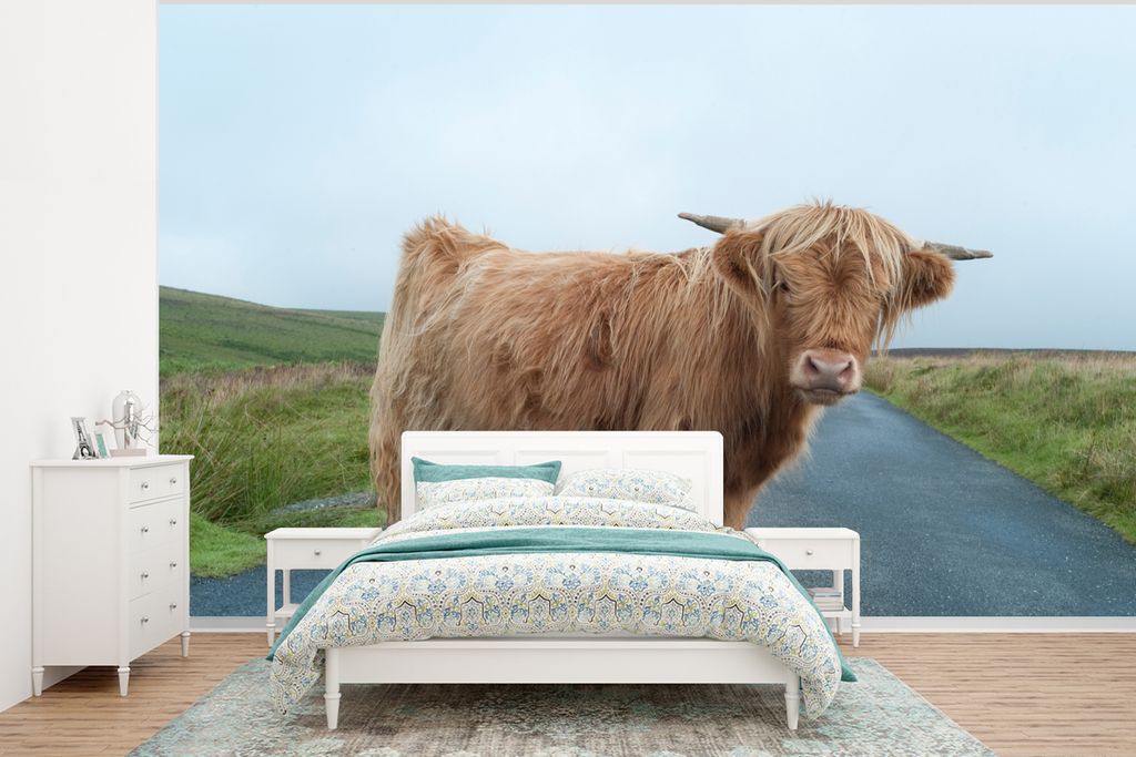 MuchoWow Fototapete für Wohnzimmer oder Schlafzimmer Wandtapete Vinyl Motivtapete Scottish Highlander - Straße - Gras - 375x280 cm - Schlafzimm...